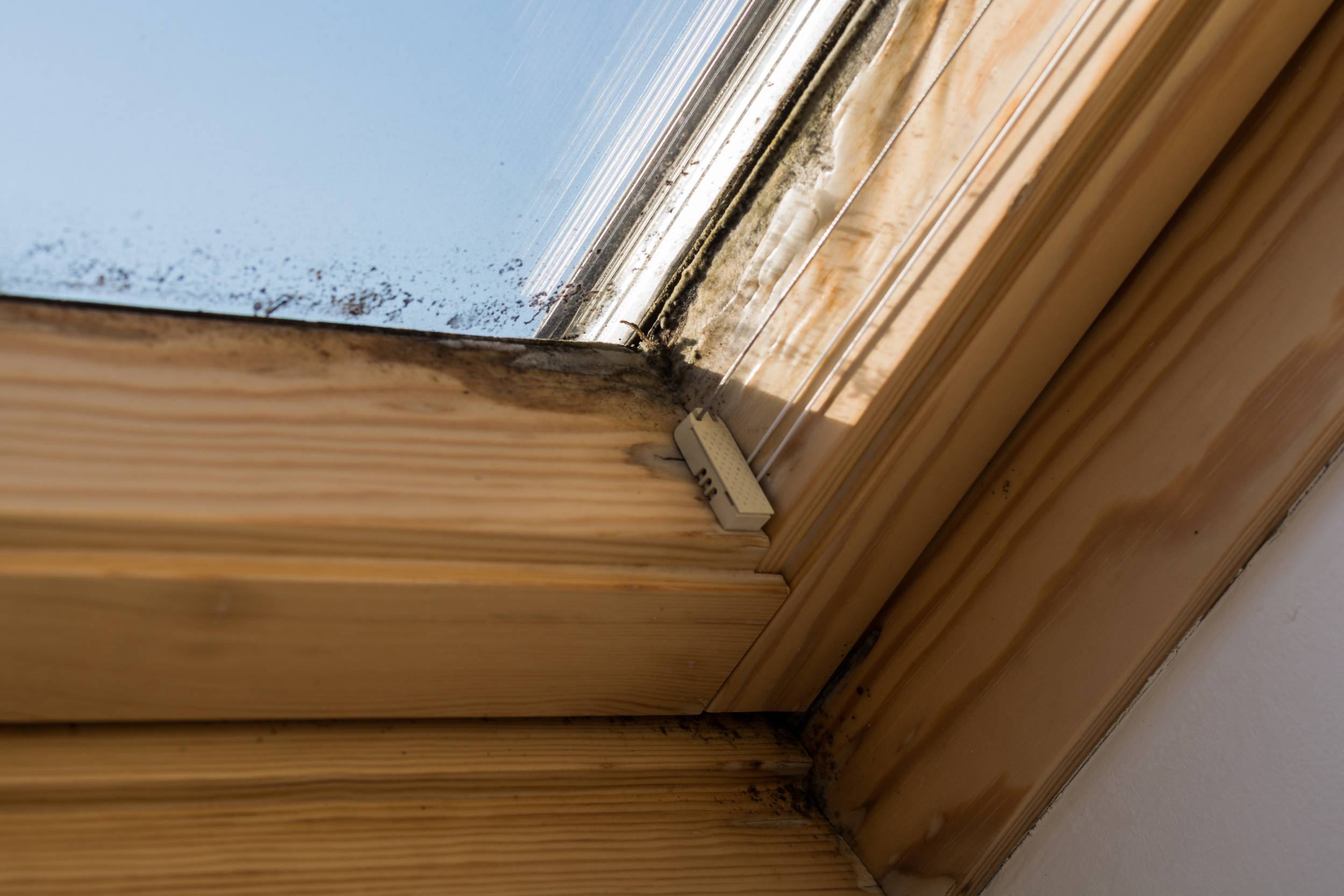 On skylights mildew forms by inadequate ventilation