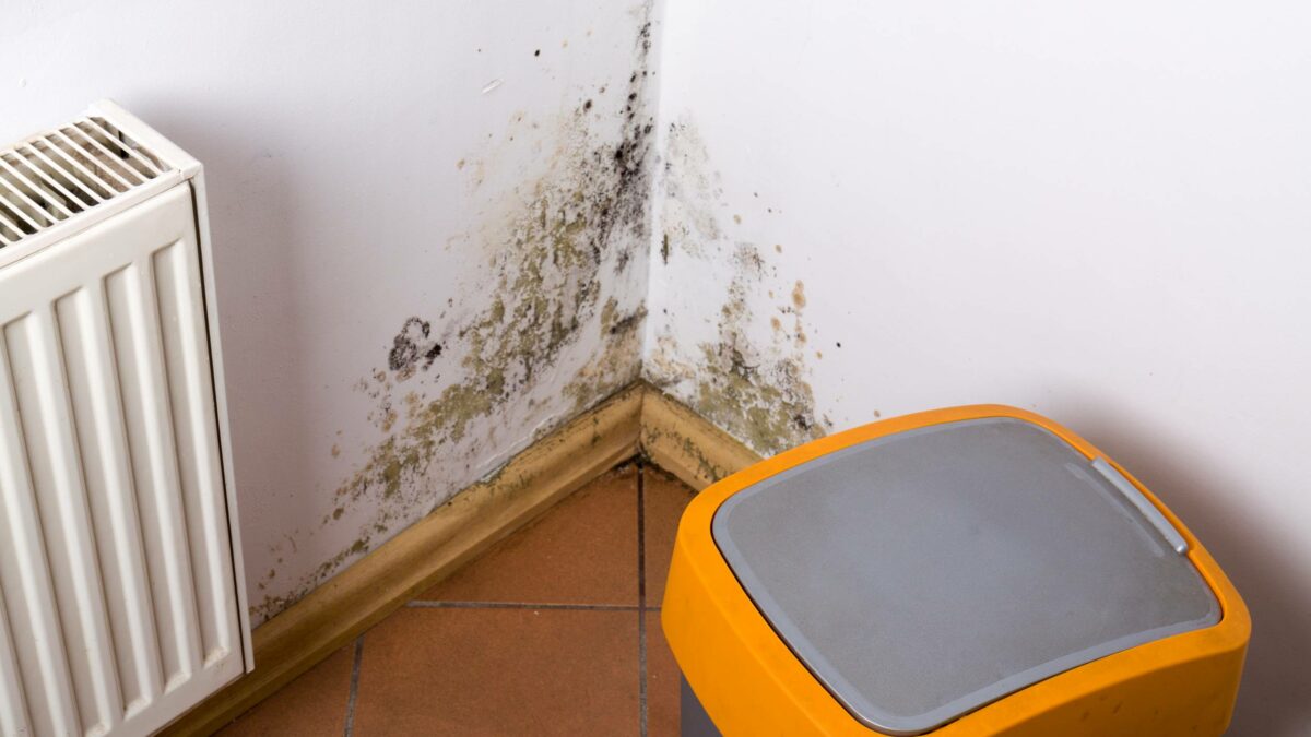 Problema di muffa e funghi vicino al riscaldamento appeso all'angolo.