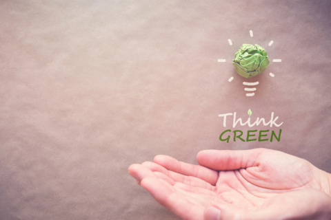 Lampadina di carta verde con Think Green sulle mani concetto di risparmio energetico ecologico