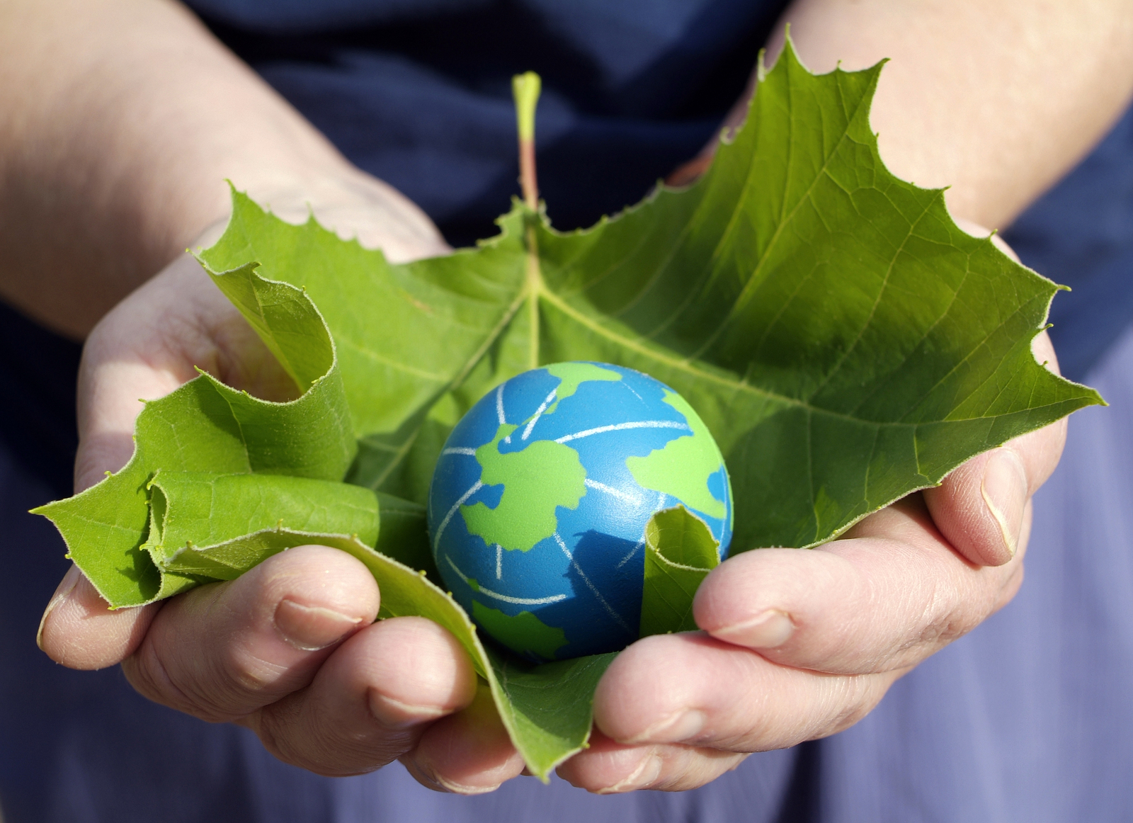 person holding a leaf with small earth